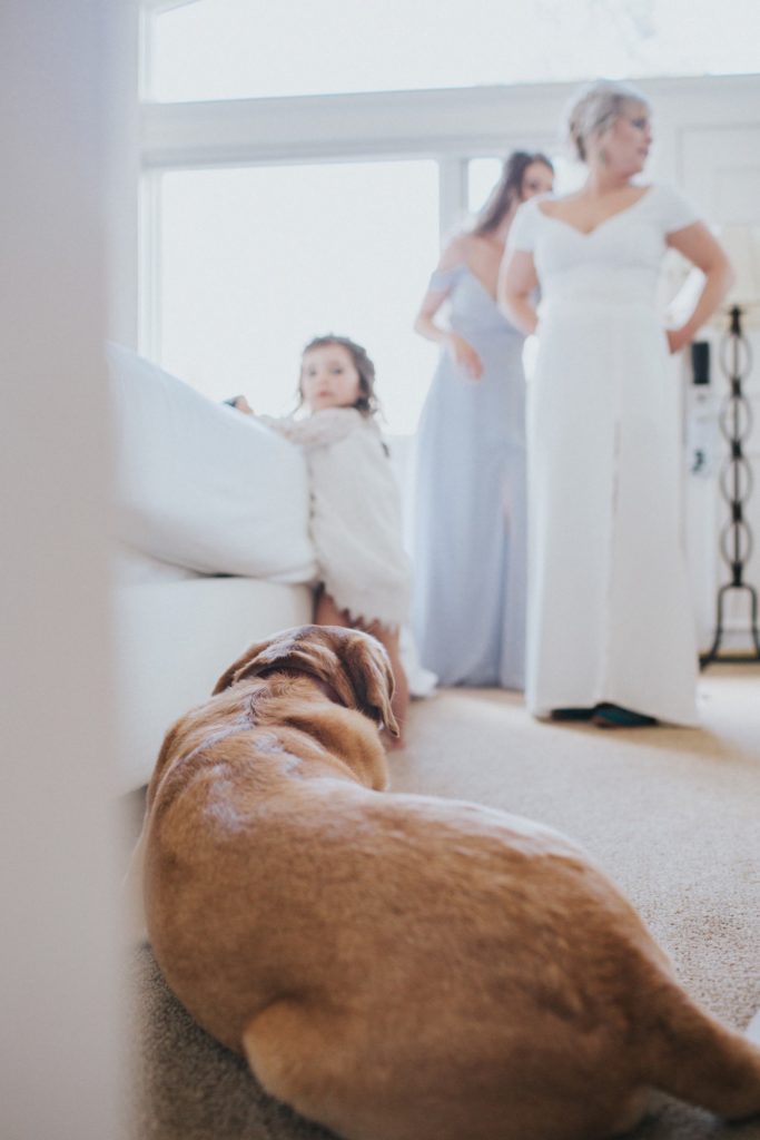 Bride and Niece and Dog