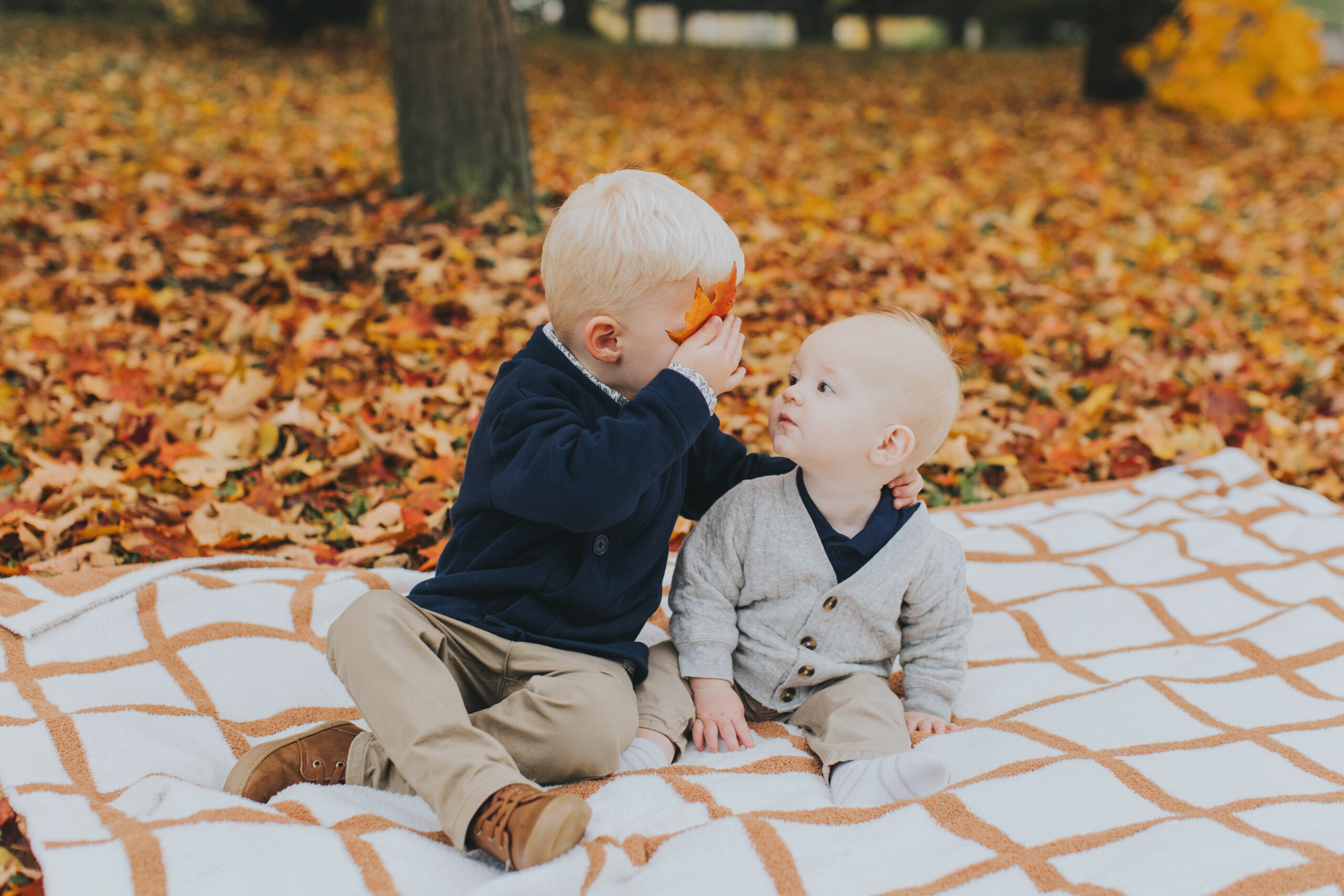 fall family session chicago