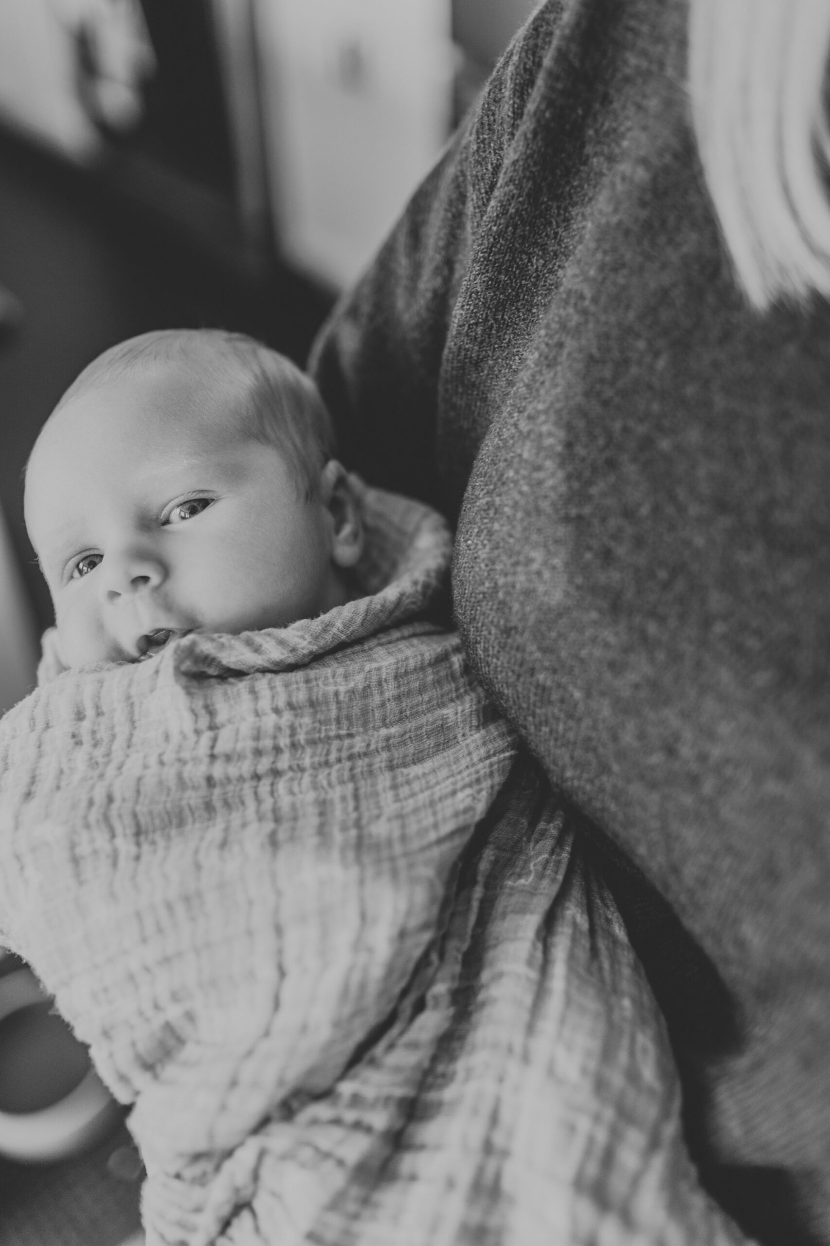 Roscoe Village in-home newborn session