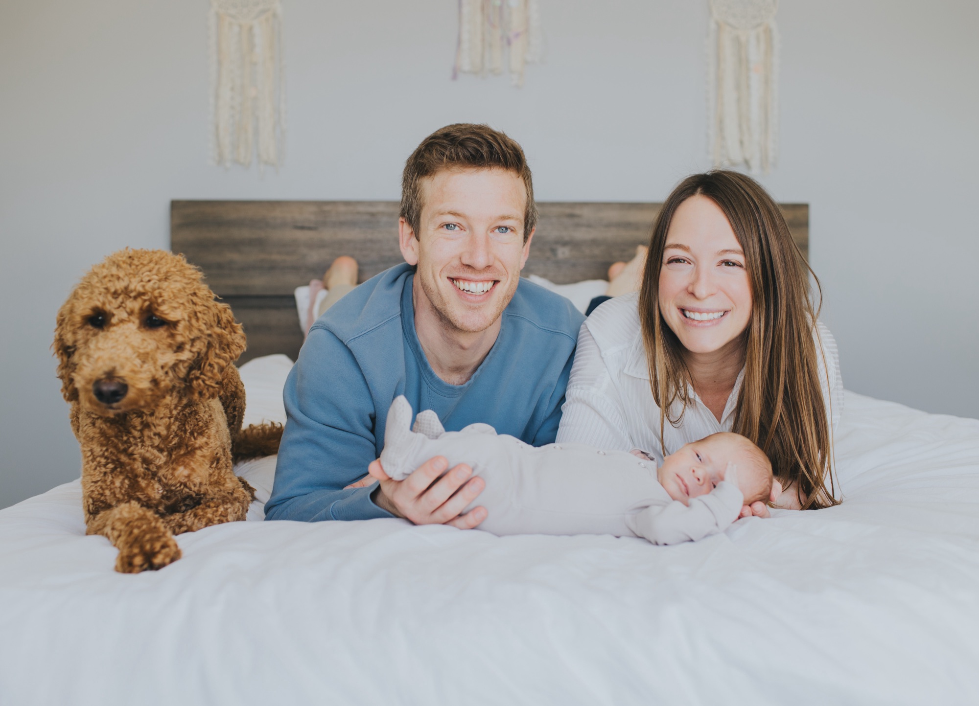 lifestyle at home newborn session with pets