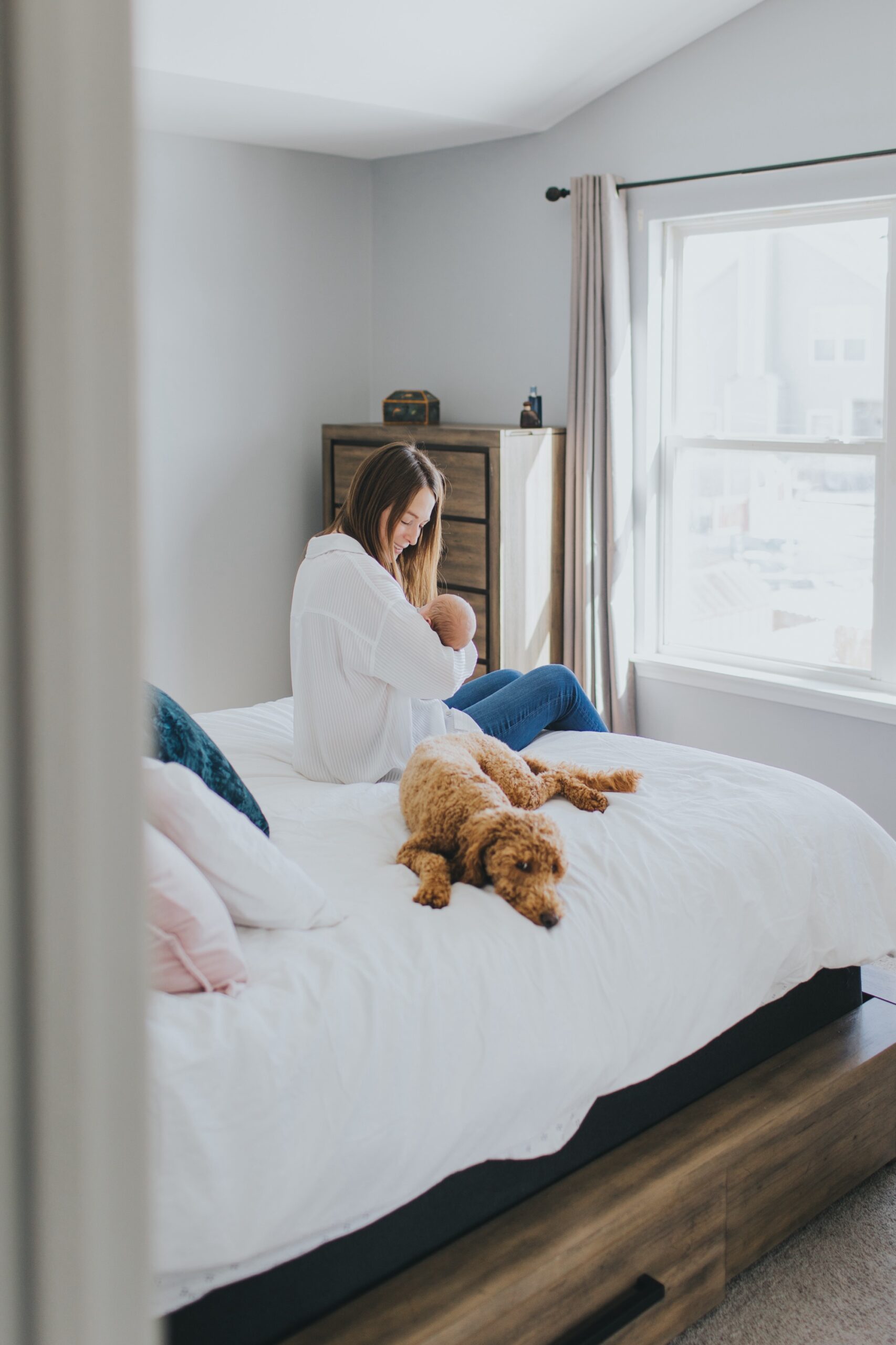 lifestyle at home newborn session with pets