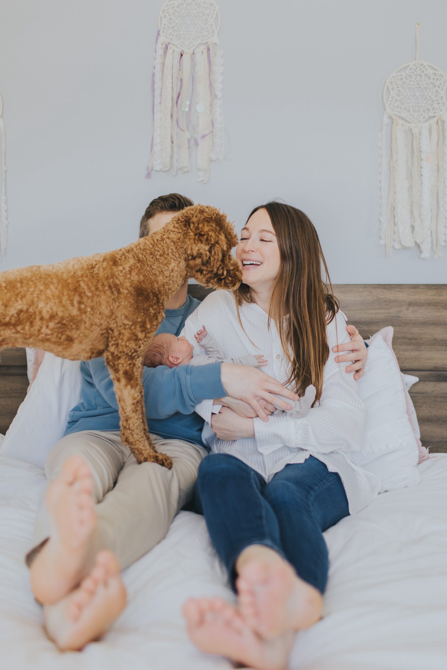 lifestyle at home newborn session with pets