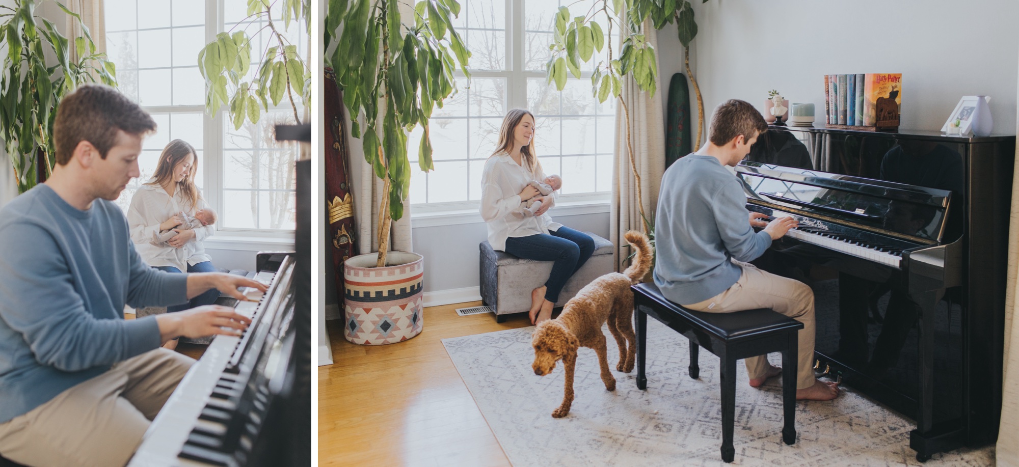 lifestyle at home newborn session with pets