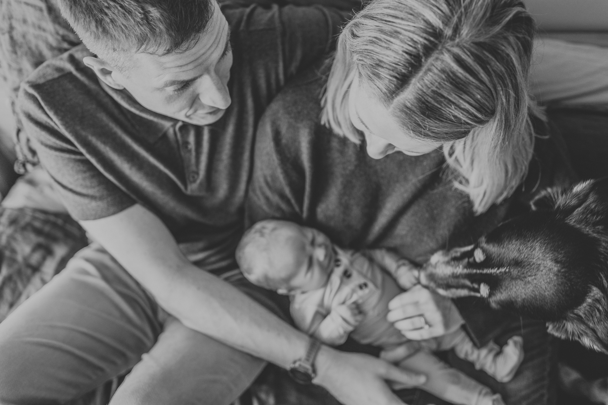 Roscoe Village in-home newborn session