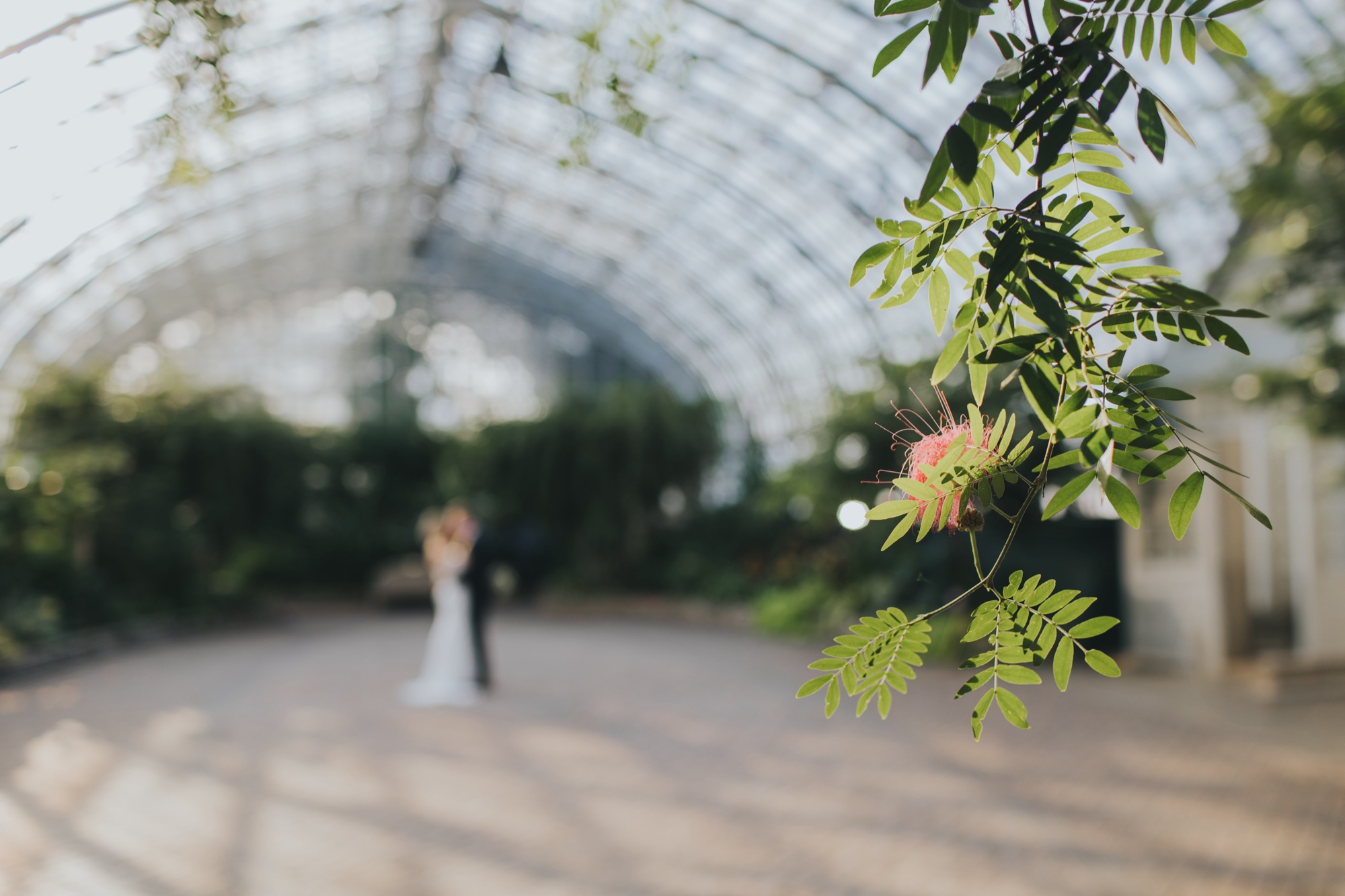 Garfield Park Conservatory Chicago Micro Wedding