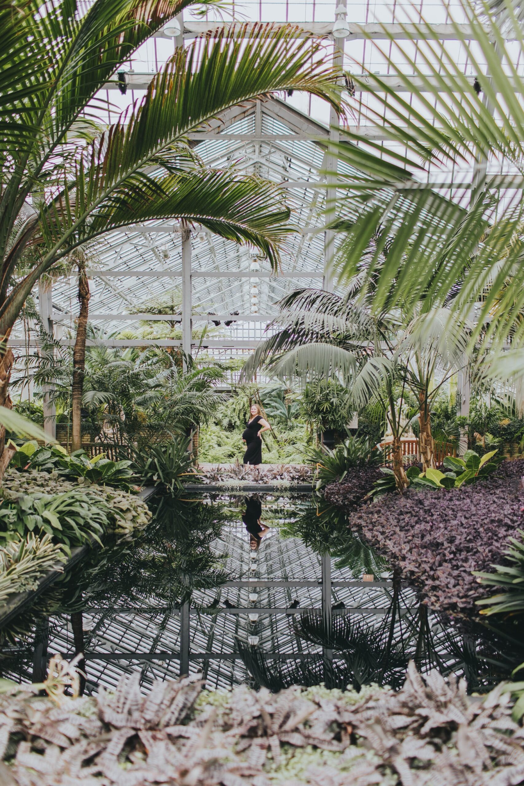 Botanical garden maternity pictures; garfield park conservatory maternity session