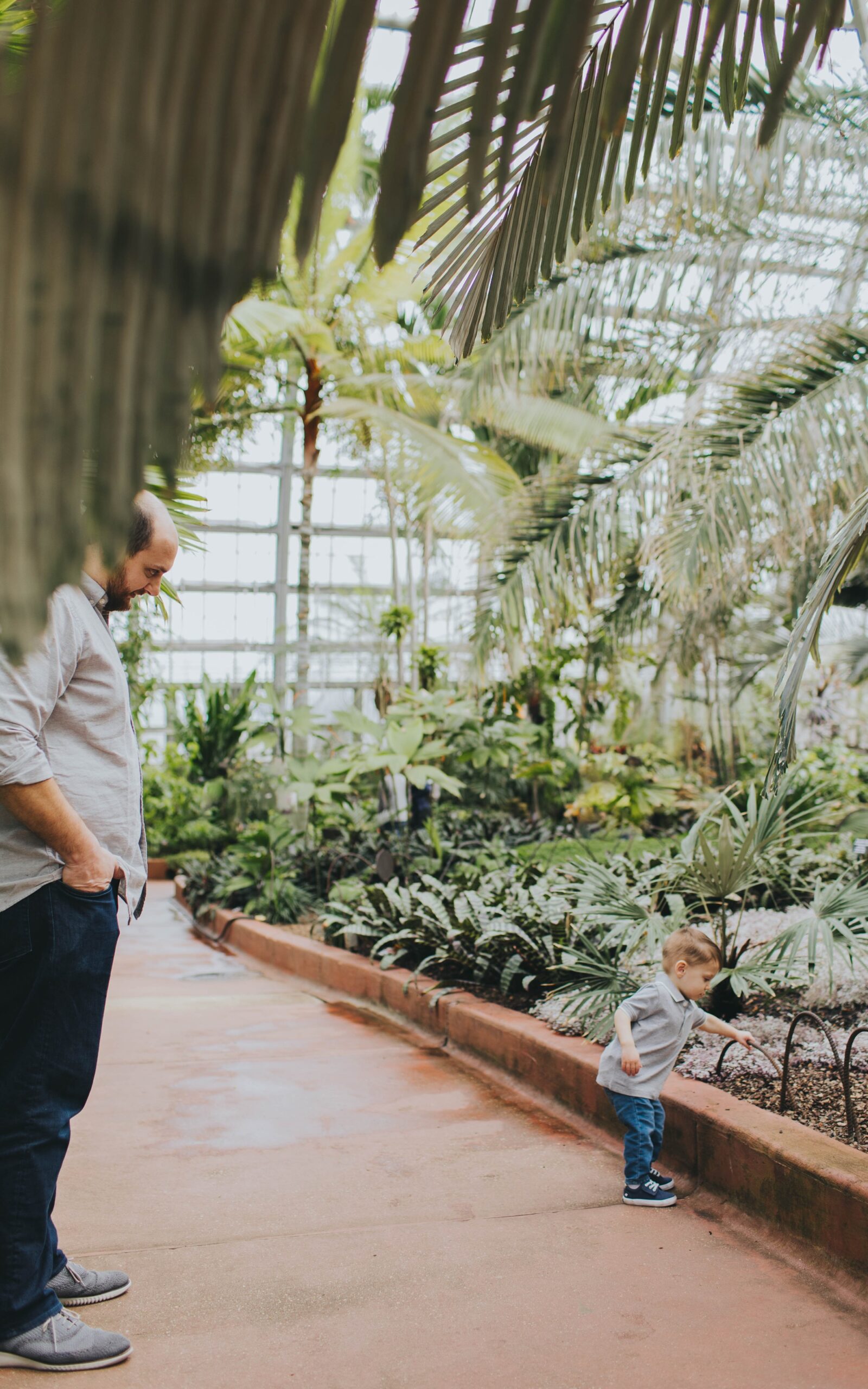 Chicago maternity photographer; garfield park conservatory maternity photos