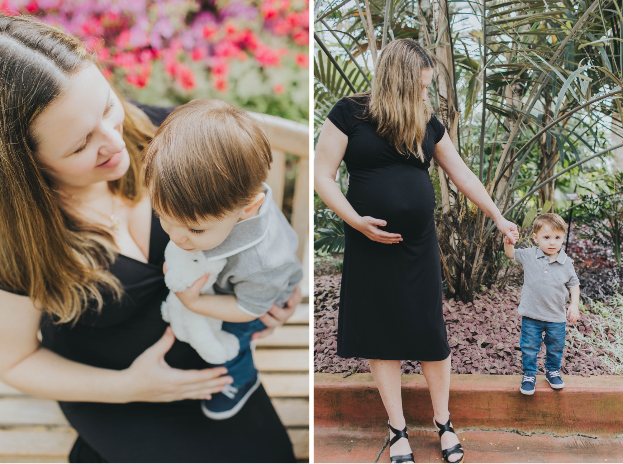 Garfield Park Conservatory maternity pictures