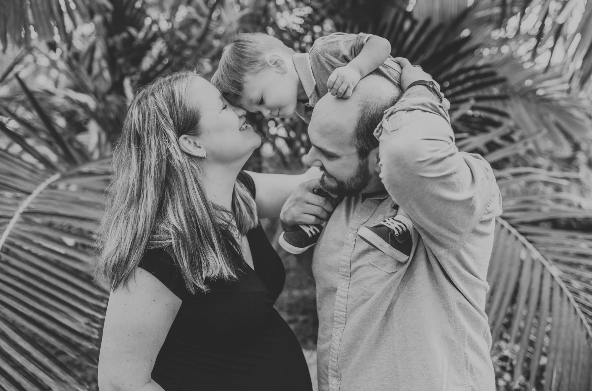 maternity photo locations; garfield park conservatory maternity photos