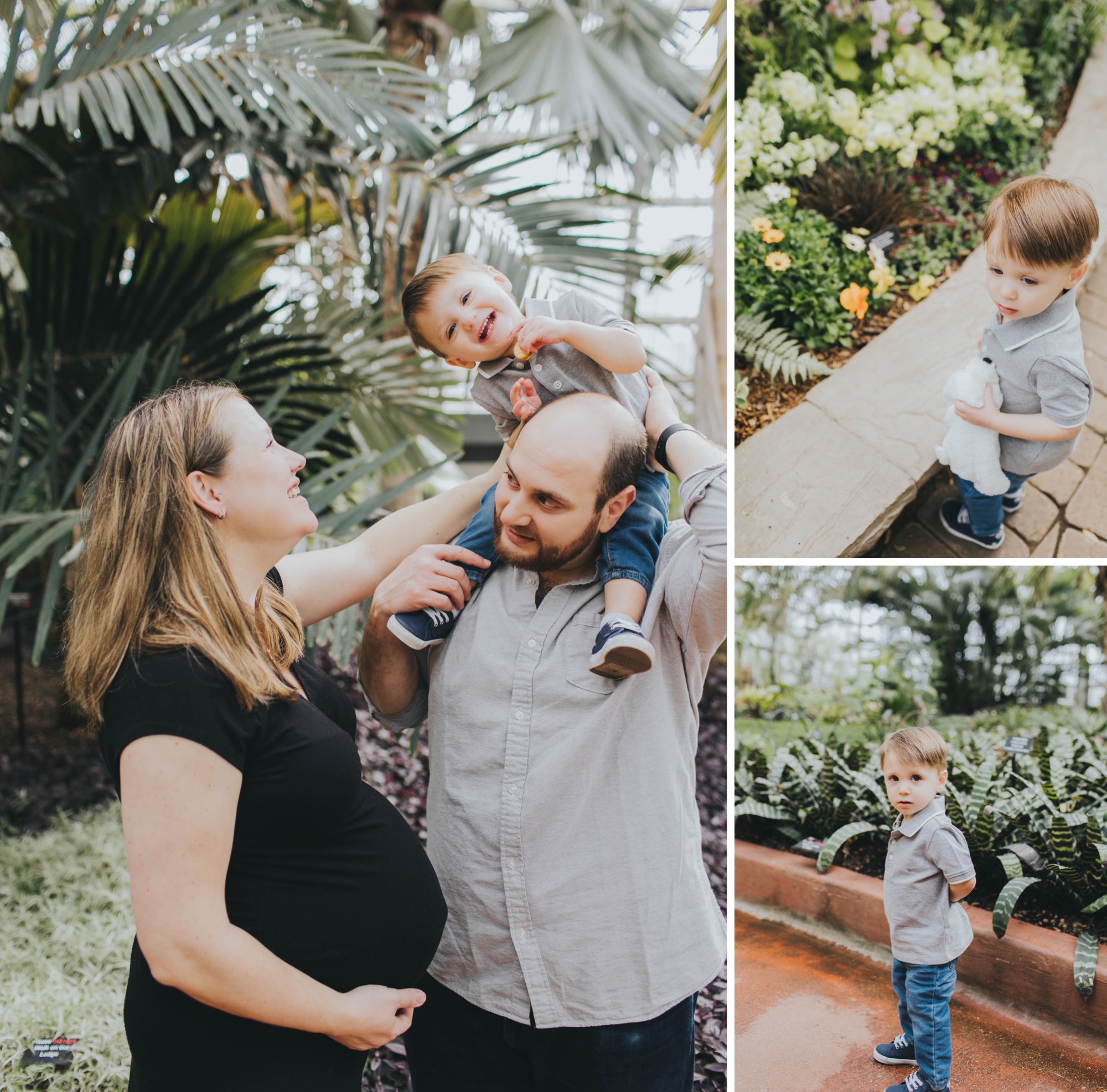Chicago maternity photographer