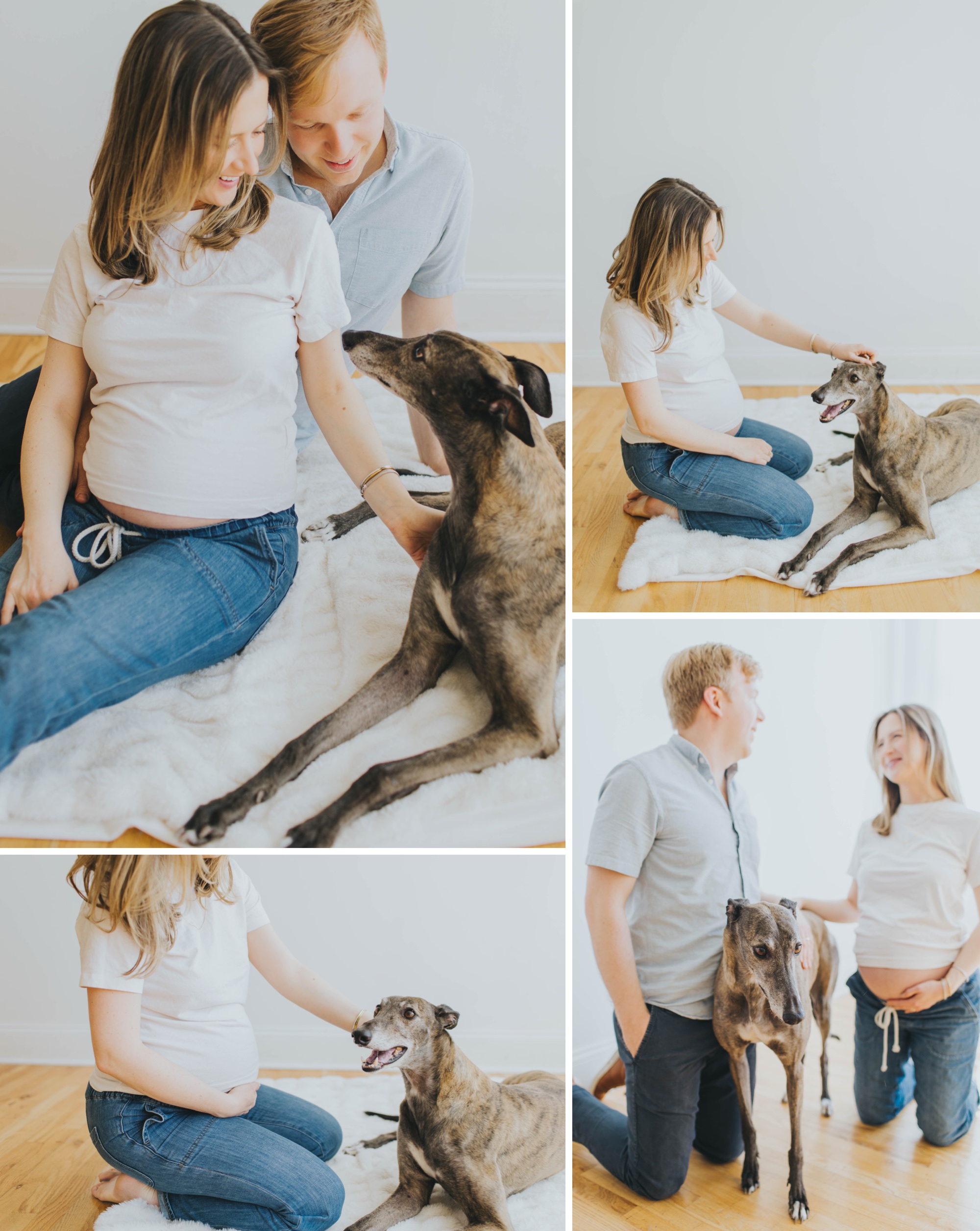 family maternity session with dog