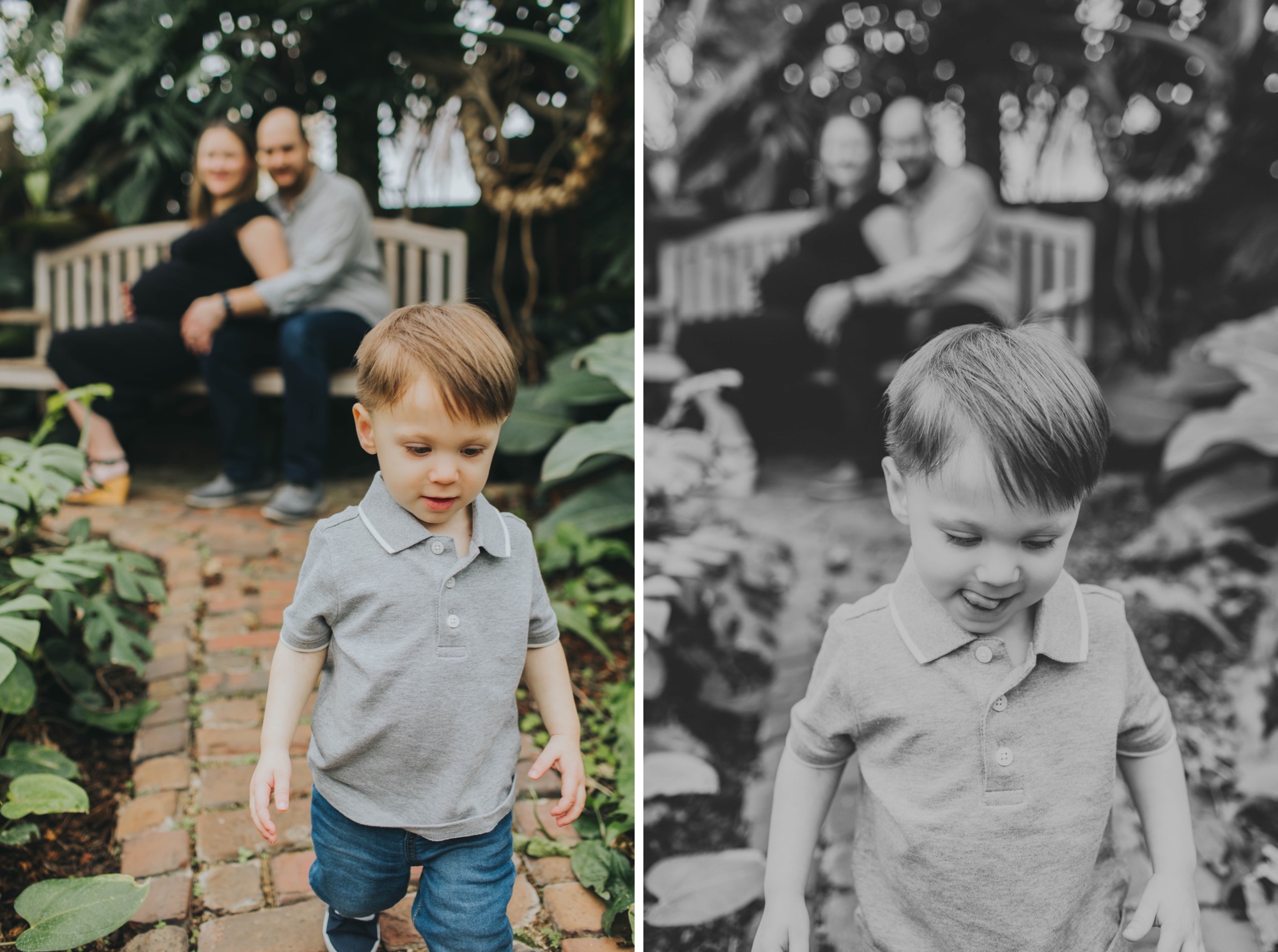 Meg Adamik Photography
