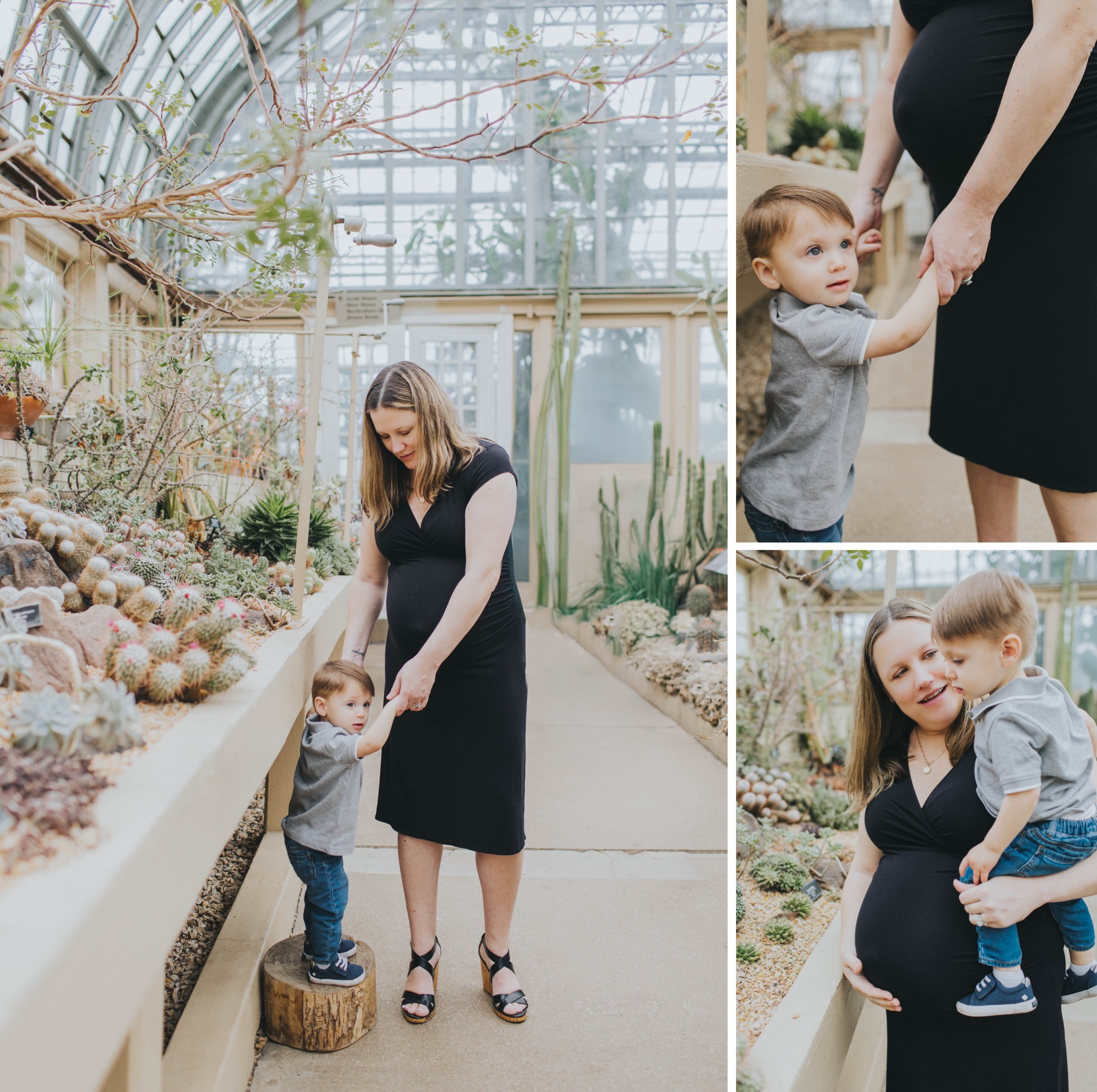 garden maternity pictures