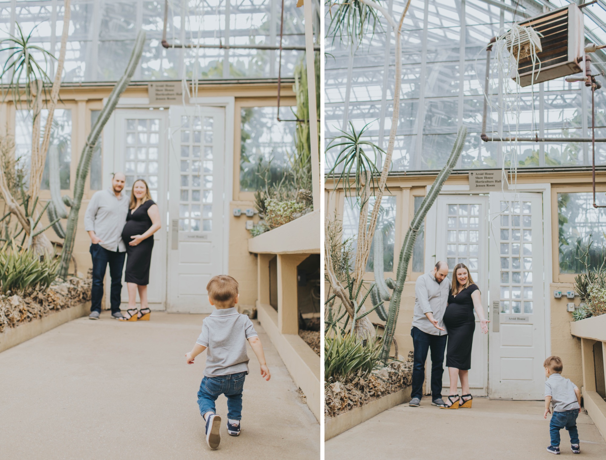 Garfield Park Conservatory Maternity Photos