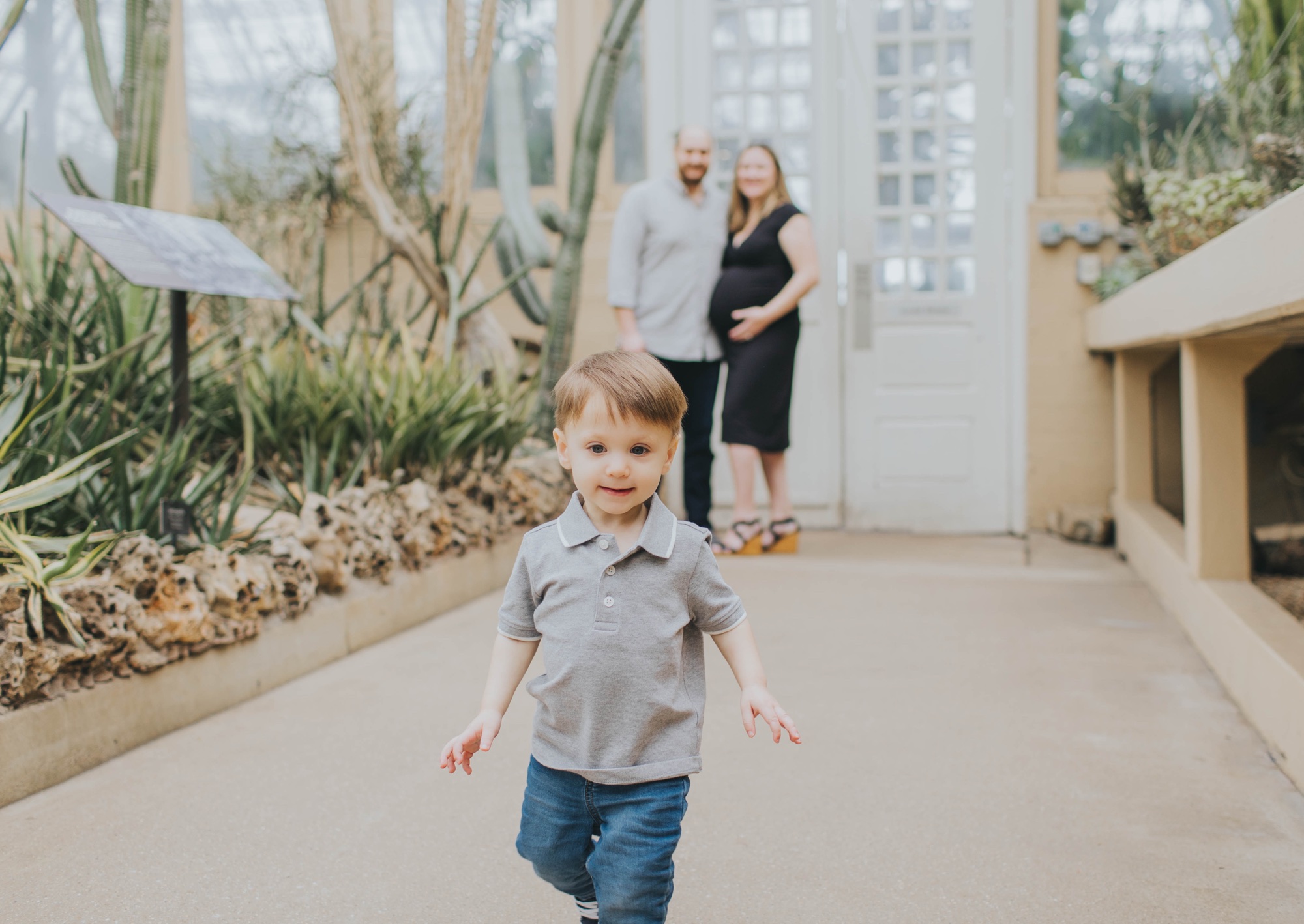 Garfield Park Conservatory maternity session