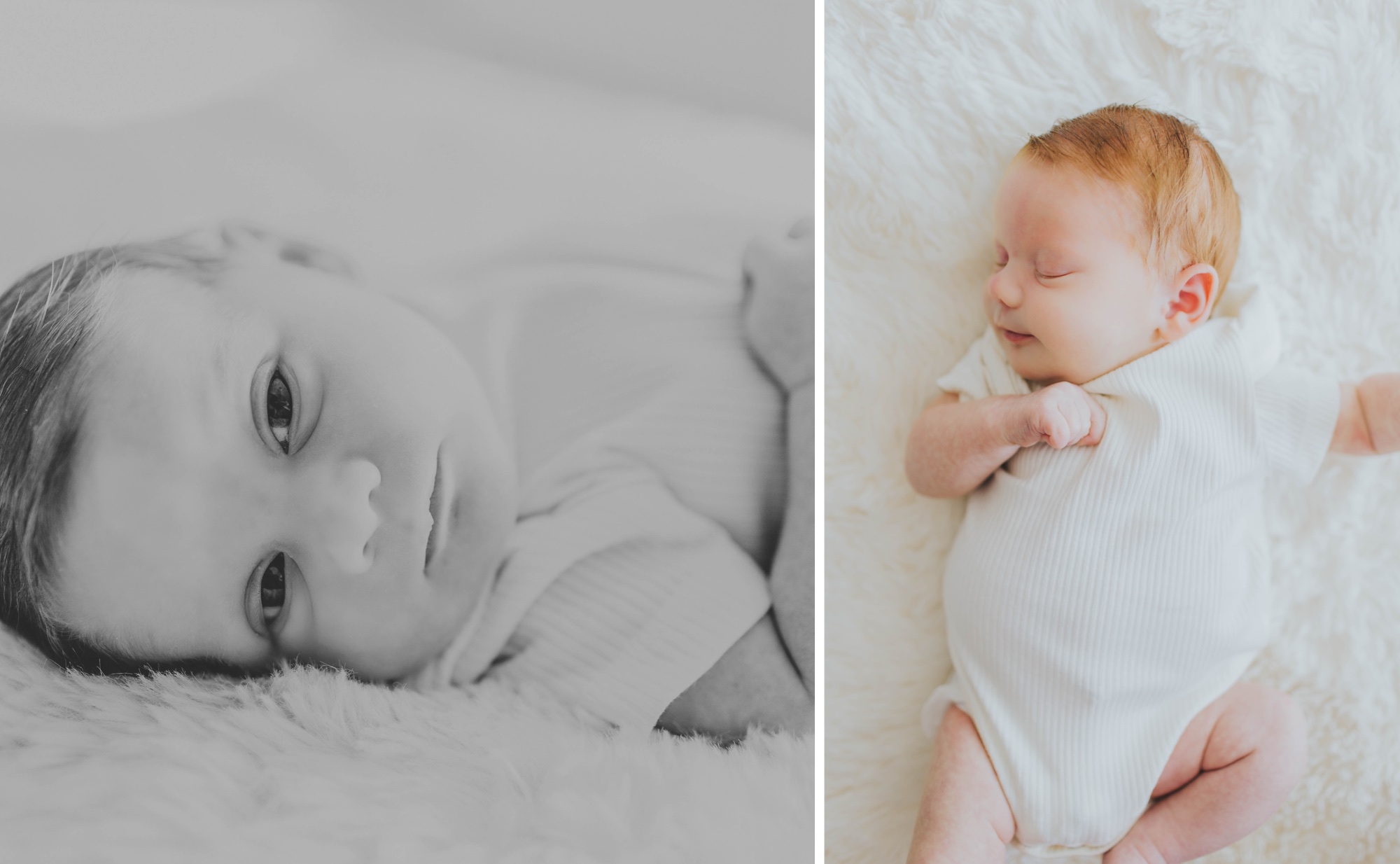 Oak Park Illinois newborn photographer