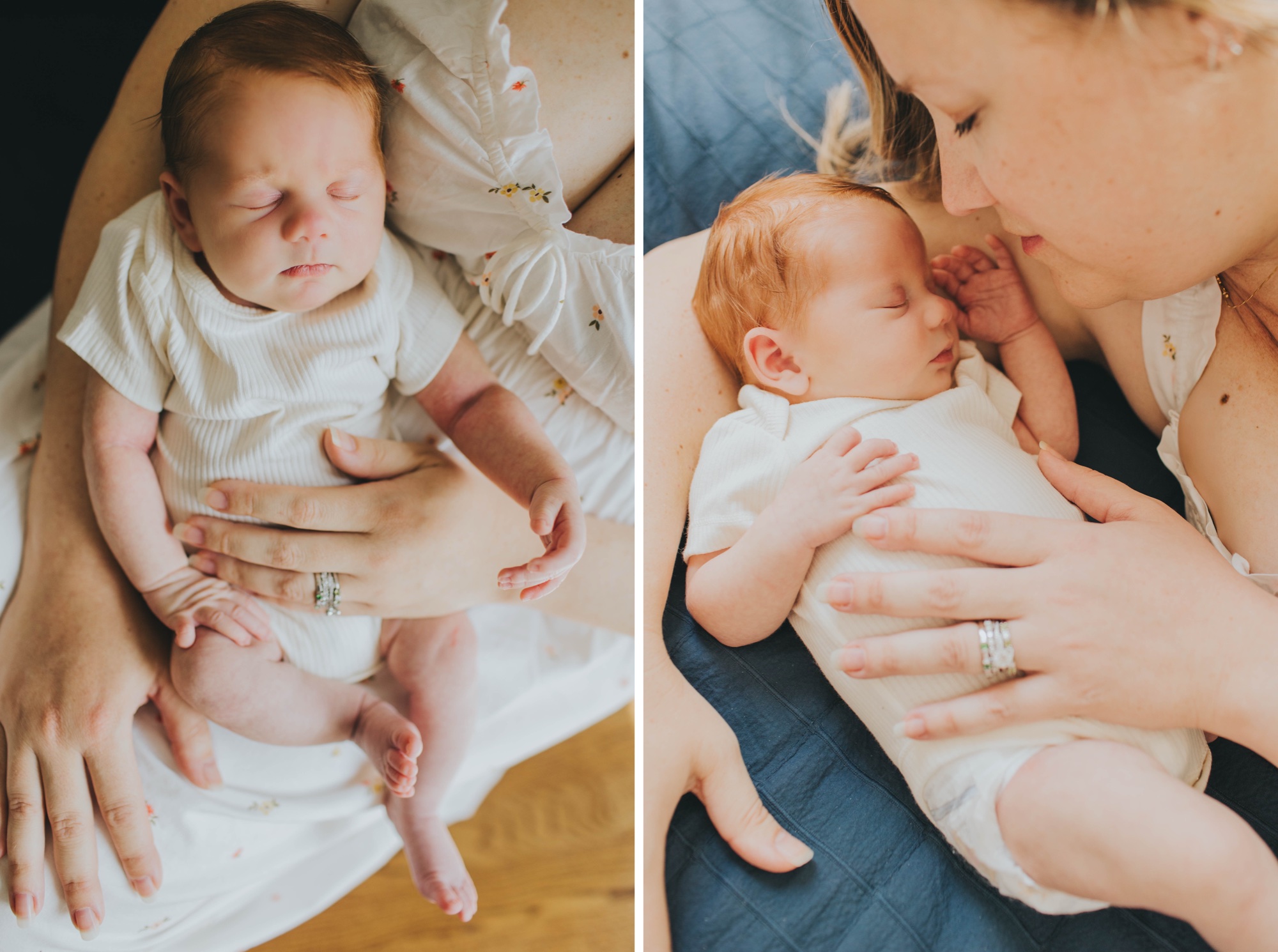 Oak Park family newborn photographer