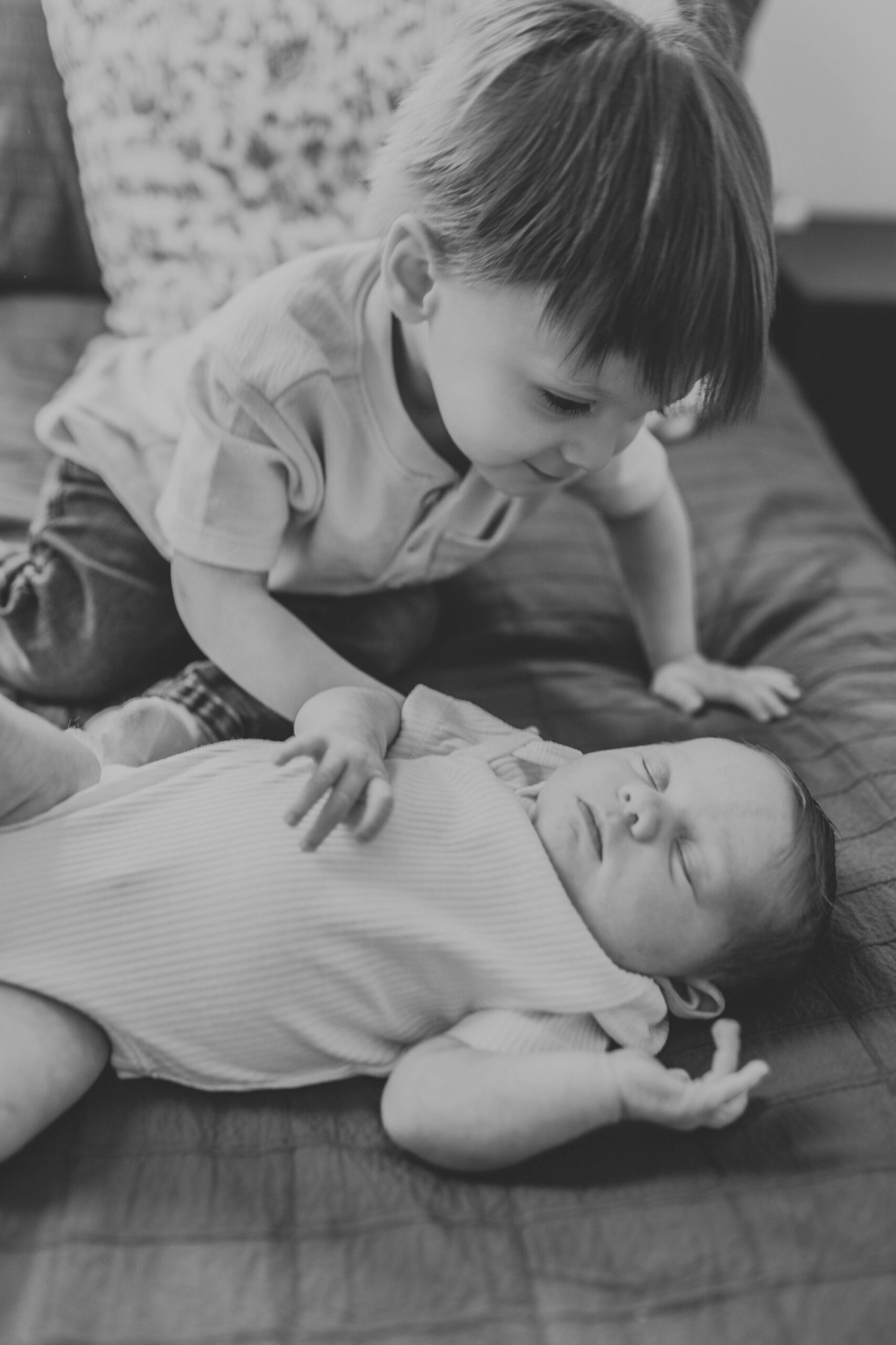 home newborn photography chicago