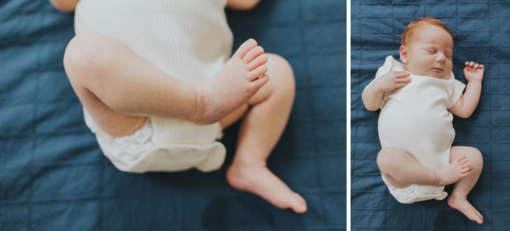 Oak Park family newborn photographer