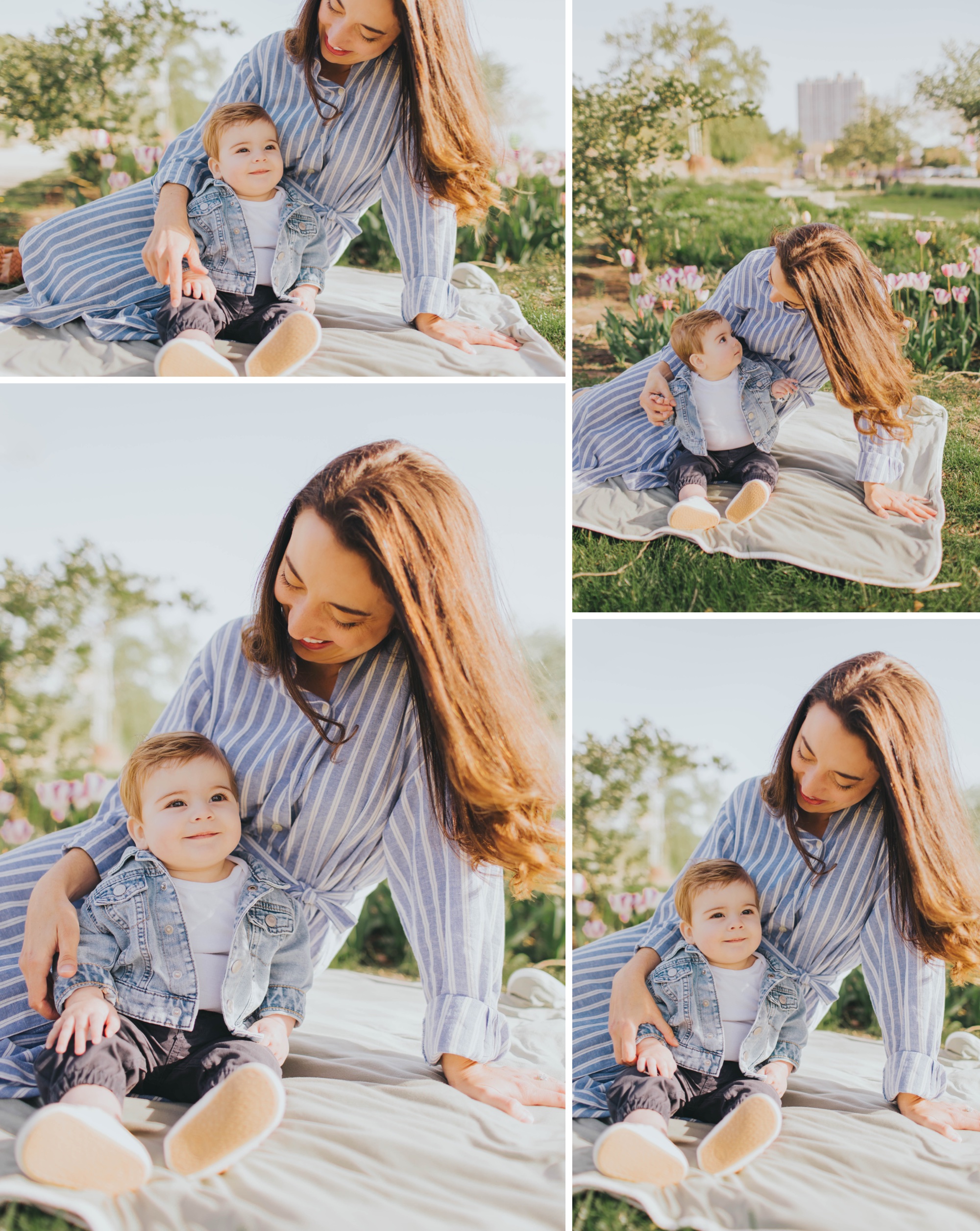 Chicago lakefront session; family photography