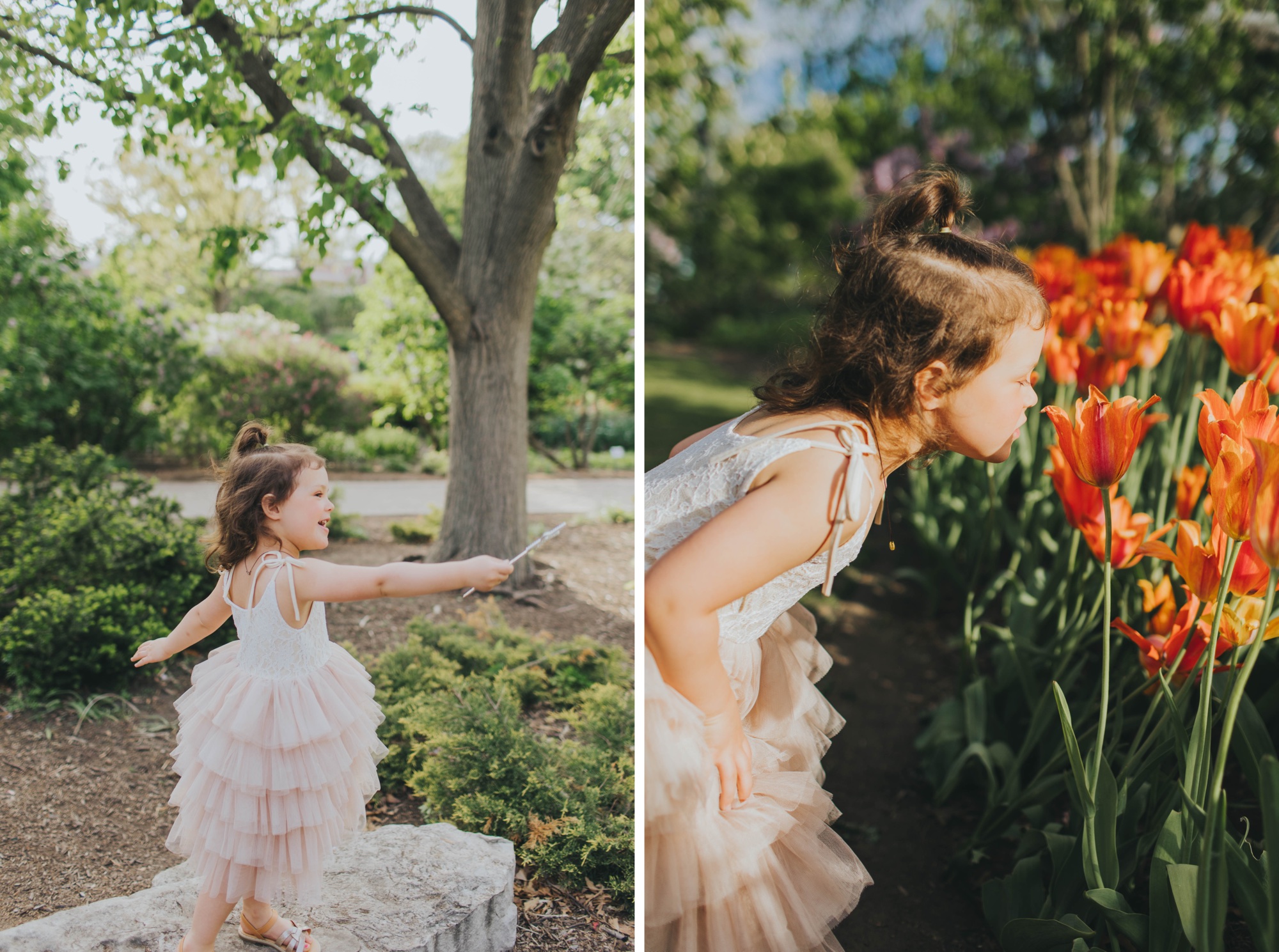 Meg Adamik Creative, Lombard family photographer