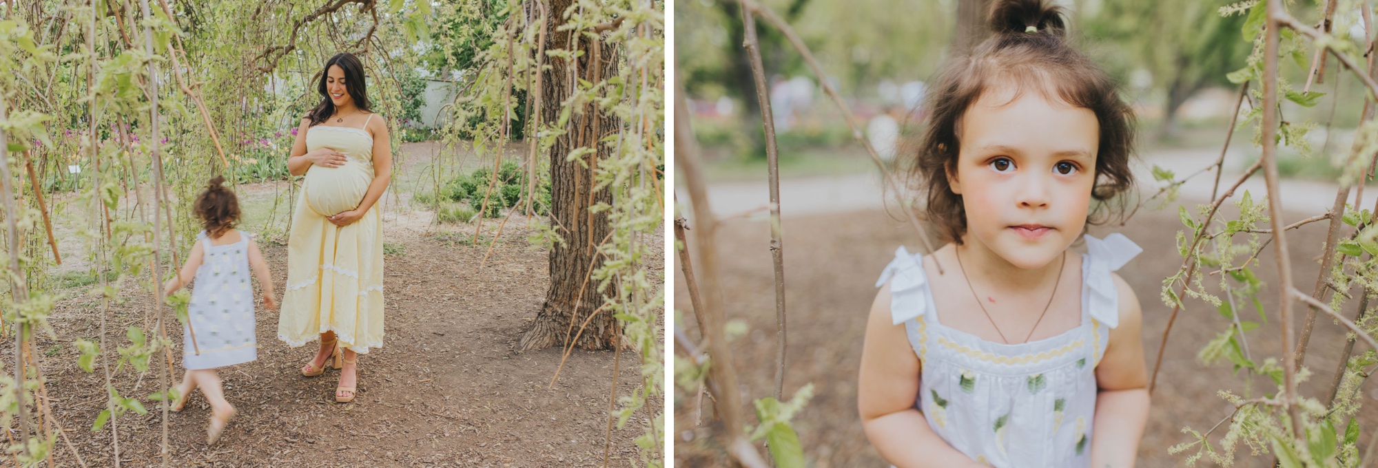 outdoor family maternity session Chicago suburbs