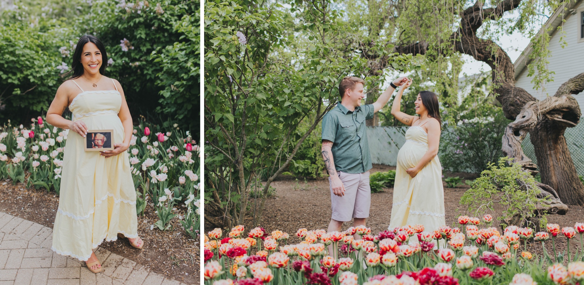 tulip field maternity session in Lilacia Park Lombard