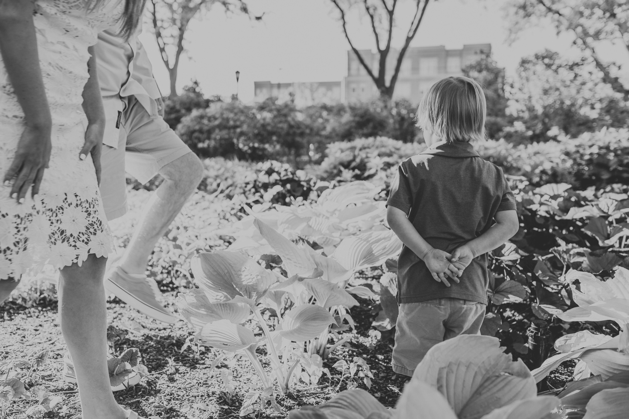 Lilacia Park Lombard Chicago family photo session
