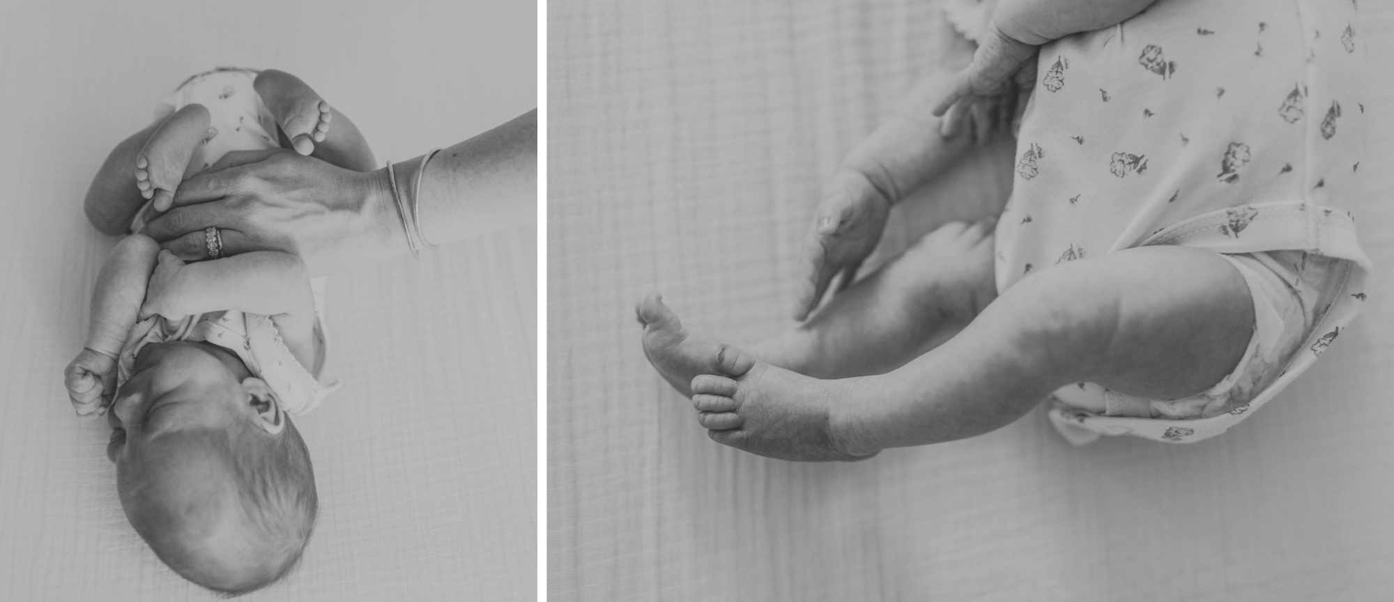 River Forest newborn photographer