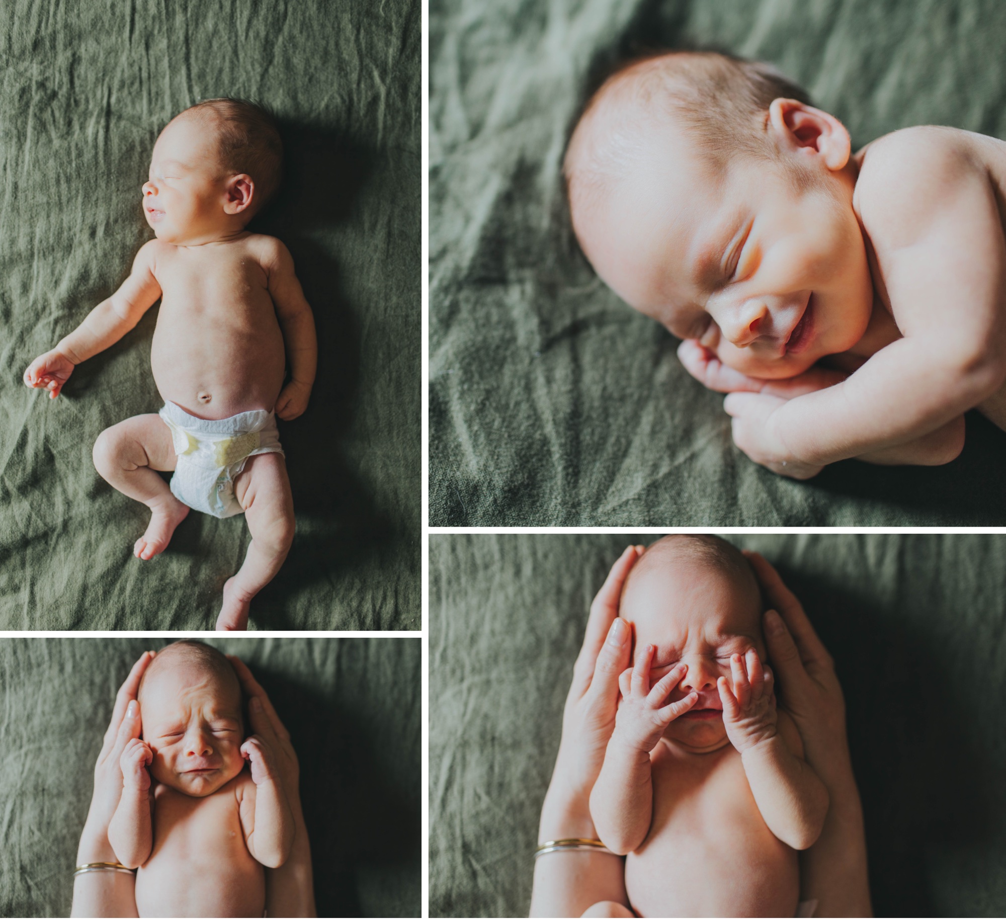 River Forest newborn photographer