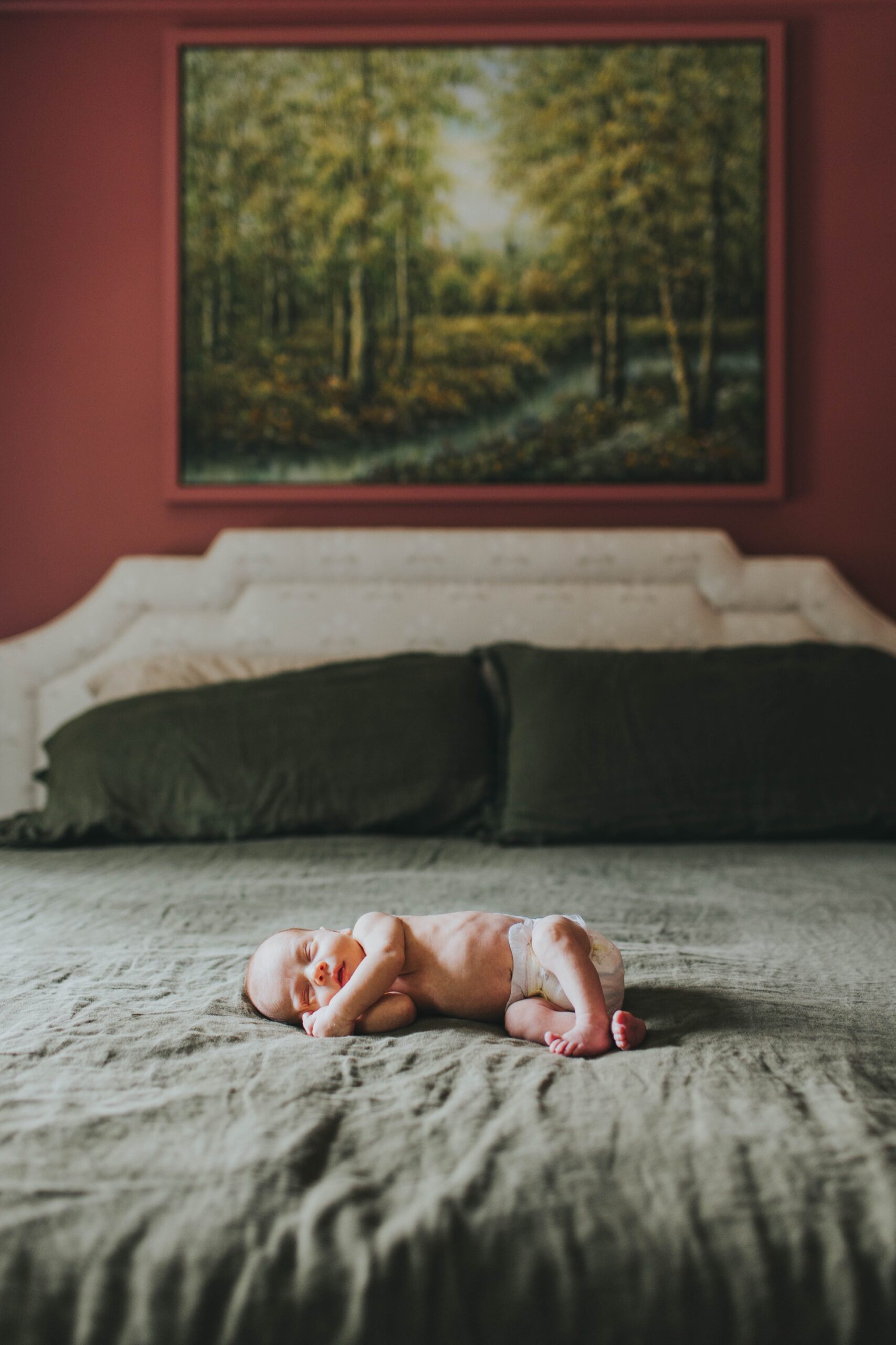 River Forest newborn photographer