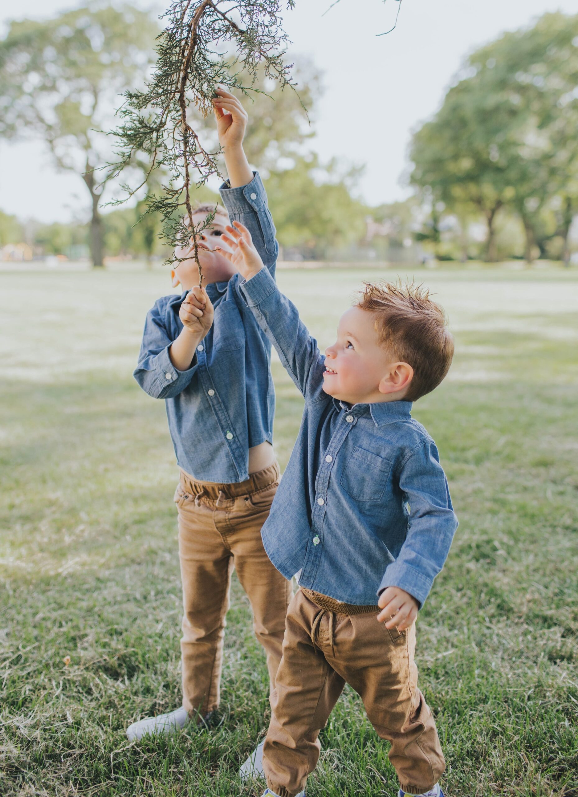 brothers playing at the park