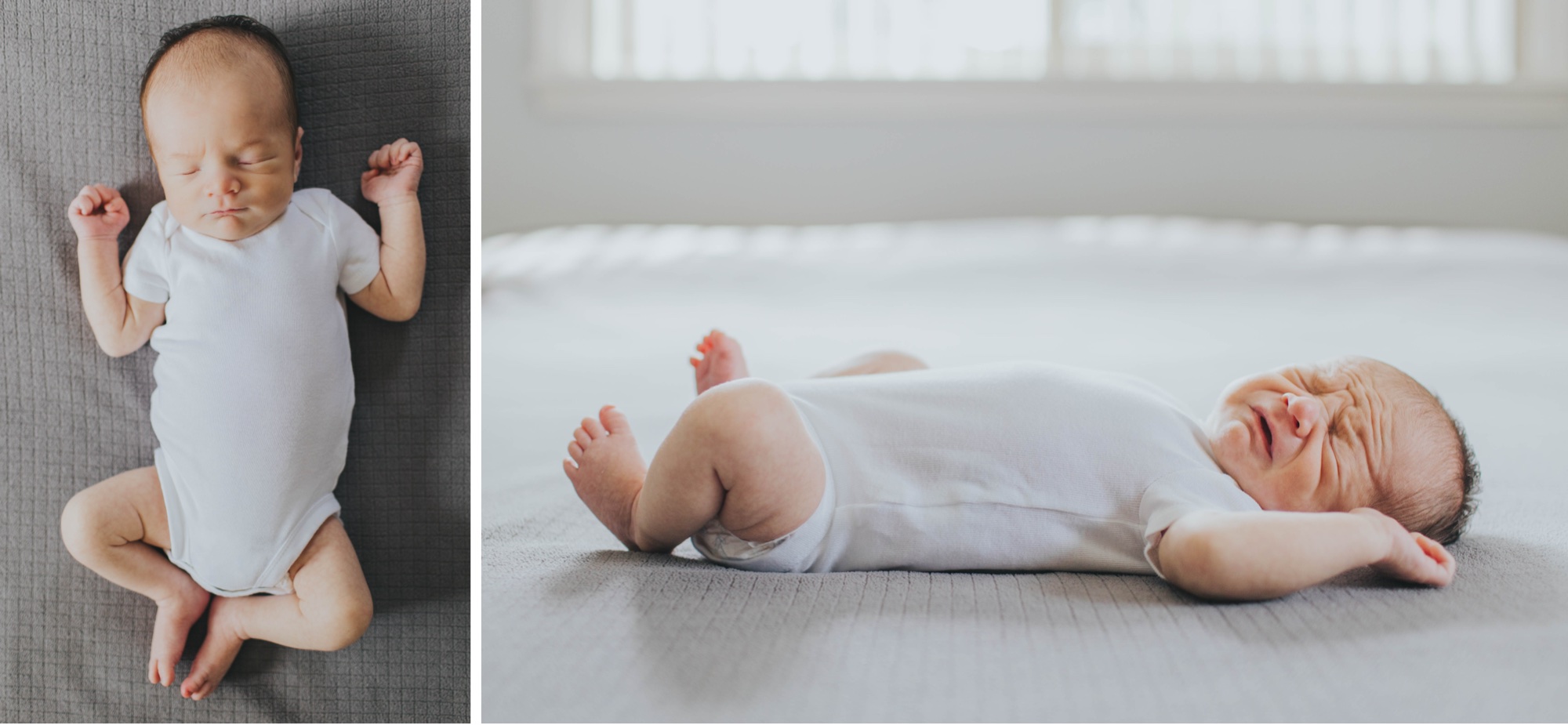 newborn photography chicago