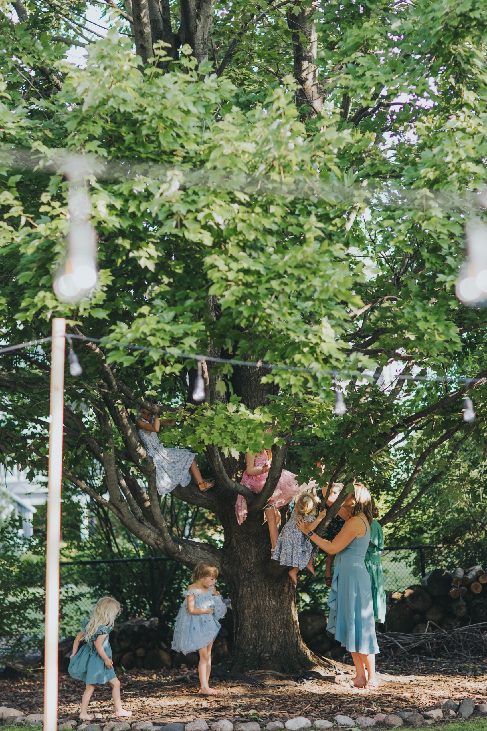 Children playing and climbing tree at Chicago suburbs backyard wedding