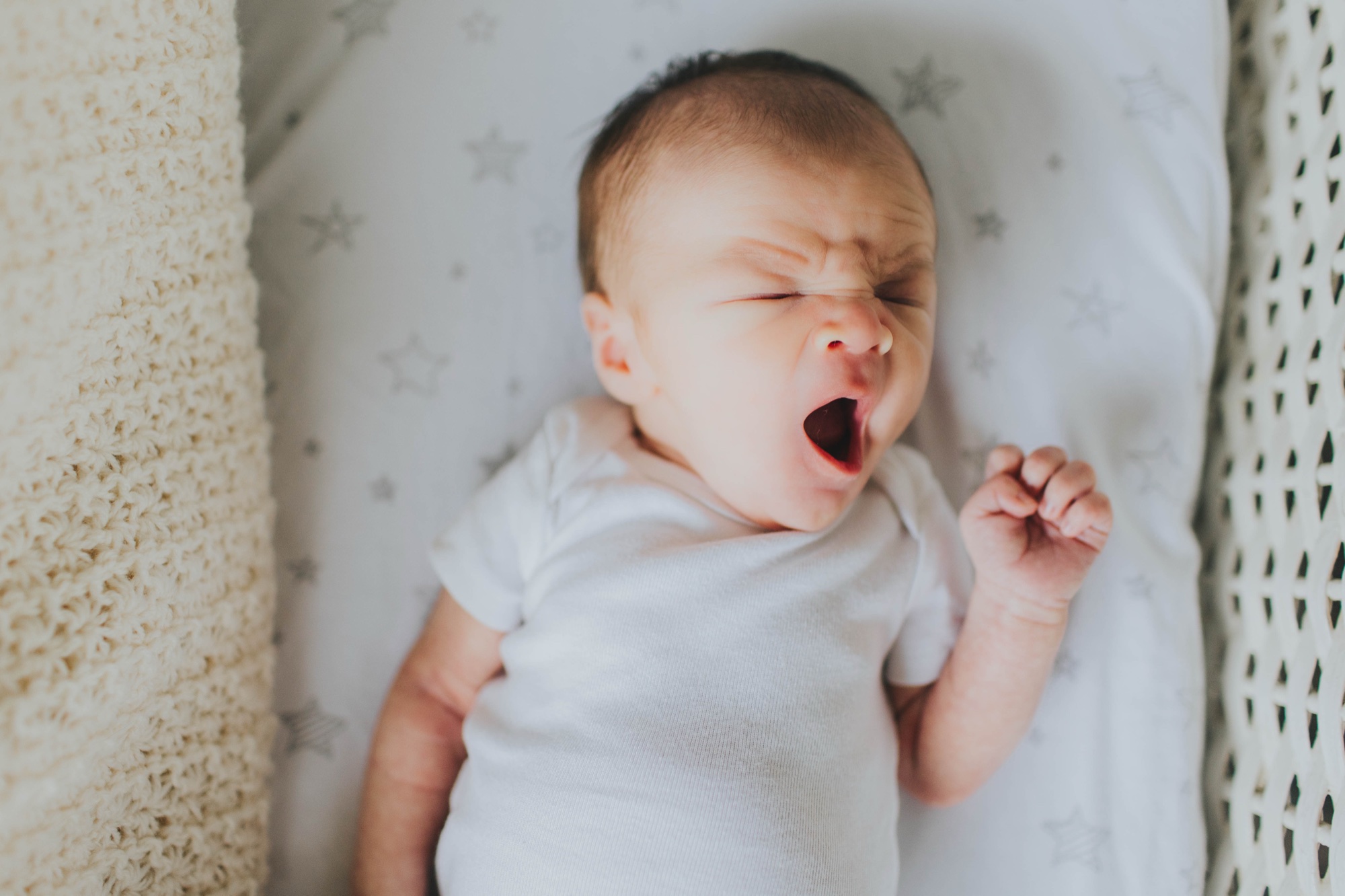 newborn photography chicago