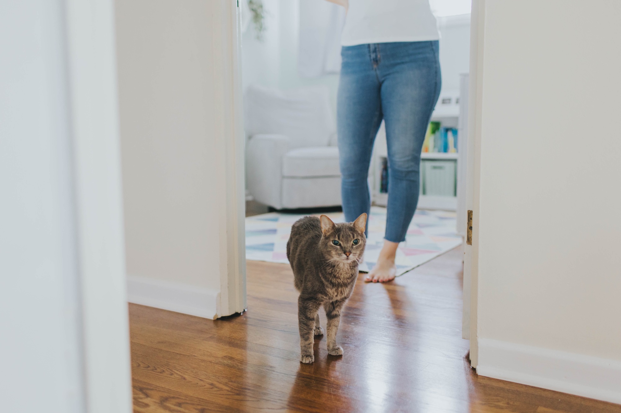 lifestyle newborn session with siblings