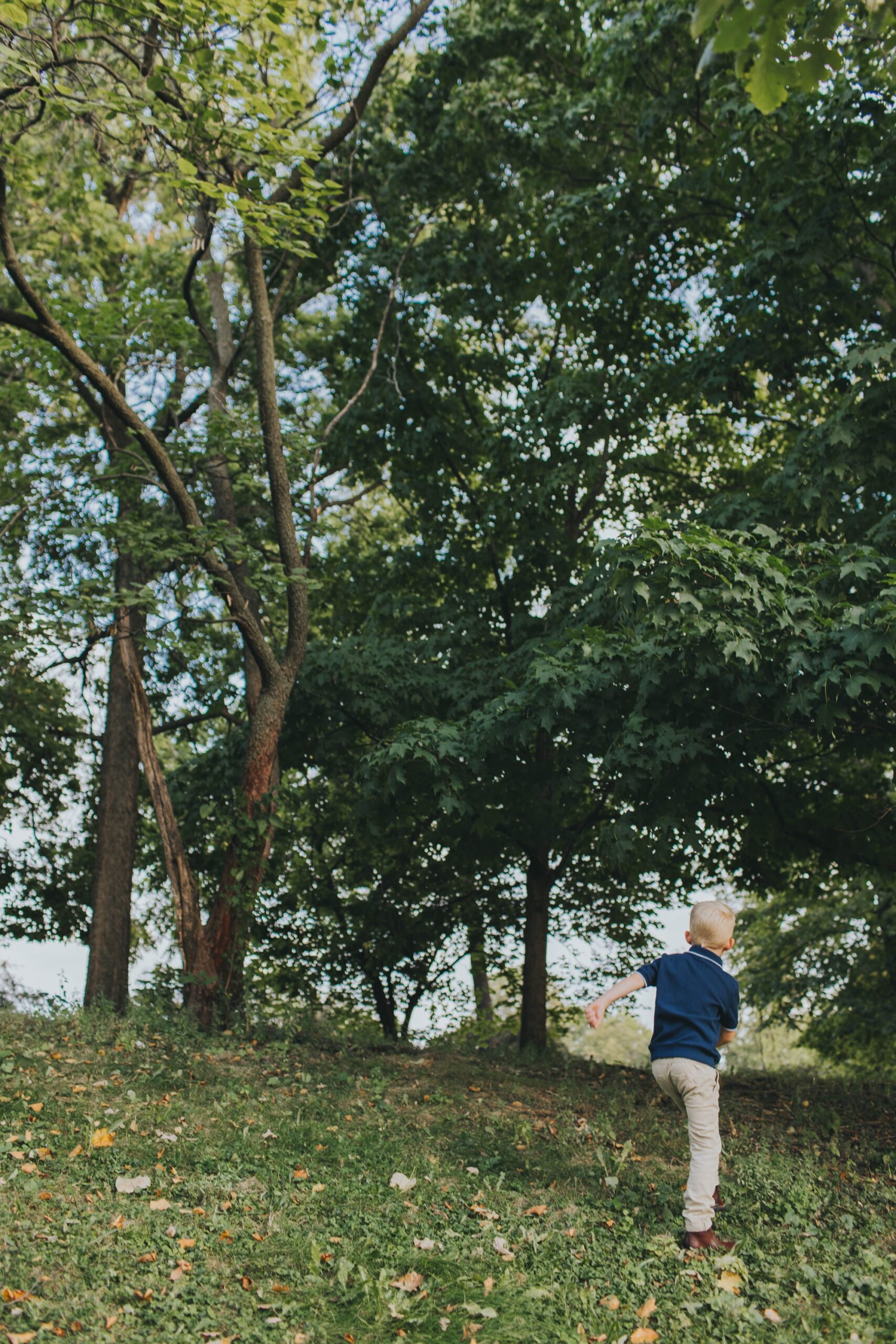 photos for holiday card designs