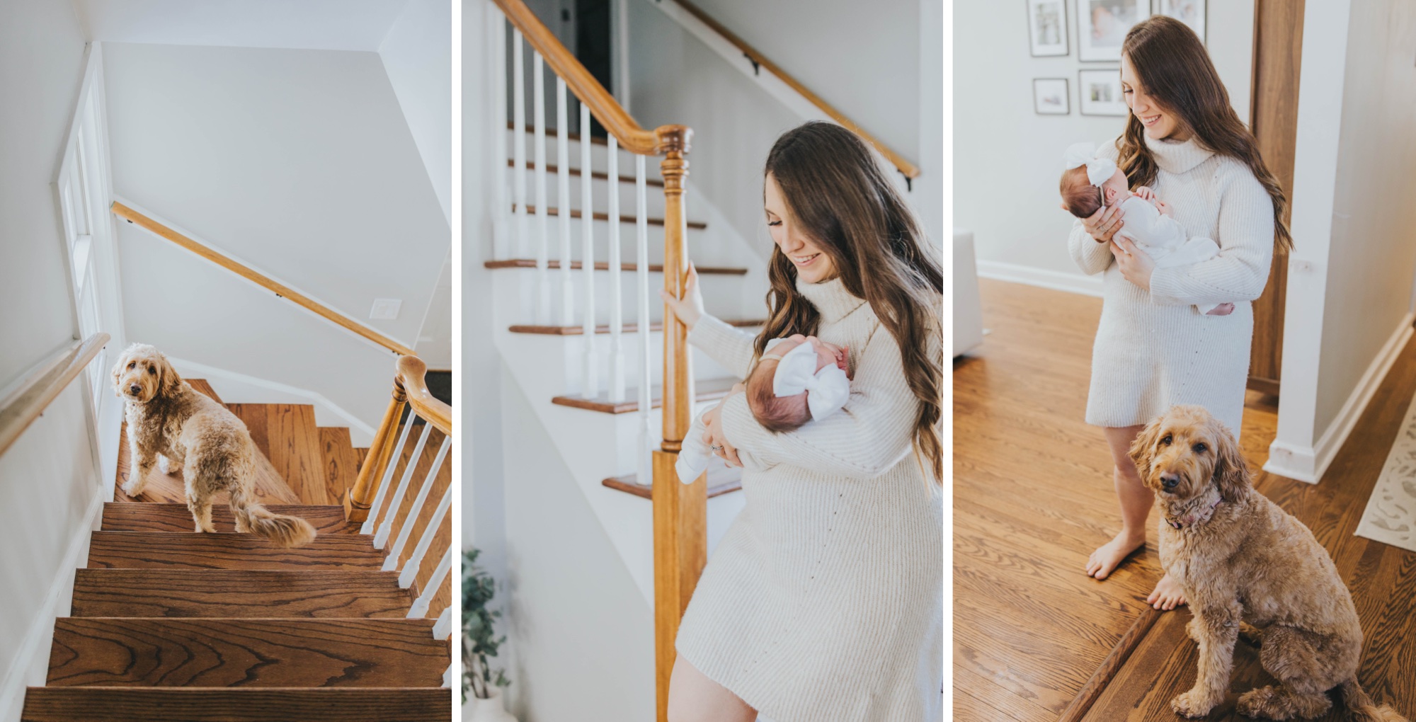 Morton Grove, Illinois, family photographer